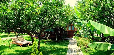 Baraka House Cirali