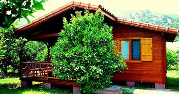 Baraka House Cirali