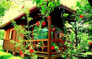 Baraka House Cirali