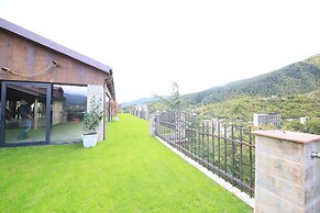 Borjomi Palace