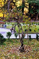 Borjomi Palace
