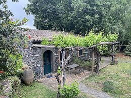 B&B Il Glicine