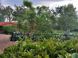 Pine Tree Lodge