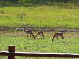Monzi Safari Lodge