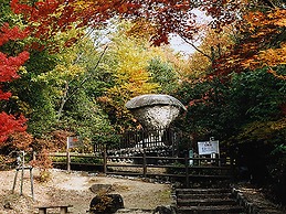 Ooedo Onsen Monogatari Premium Enakyo