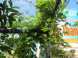 Gia Thanh Guest House