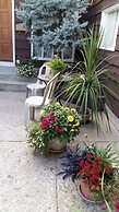 Wild Rose Bed & Breakfast