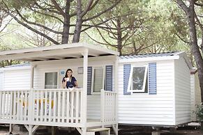 Camping Waikiki