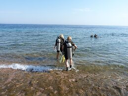 Inmo Divers home