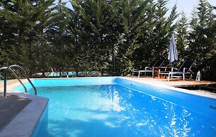 Sunny Sani Luxury Villas