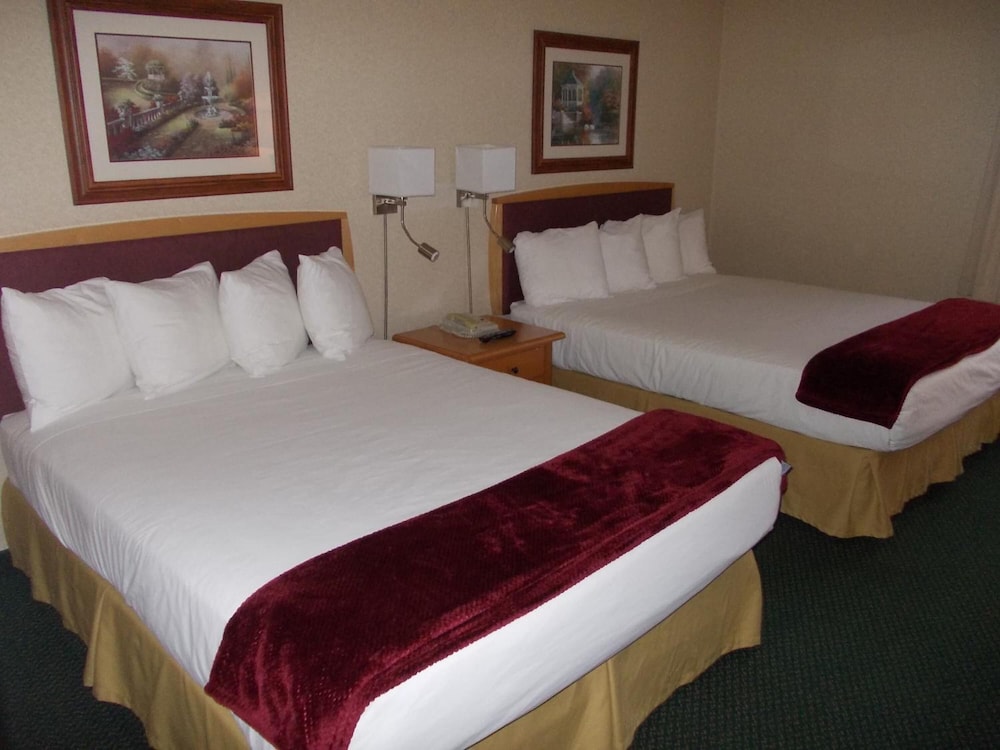 Rocky Inn Express