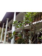 Vista Silva Rest