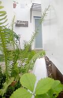 Residencia Praia Norte - AL