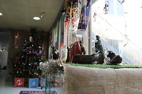 Scout Madrid Hostel