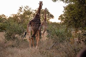 Kapama River Lodge