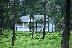 Tea Harvester Munnar
