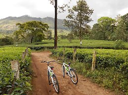 Tea Harvester Munnar