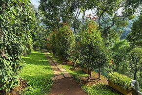 Tea Harvester Munnar