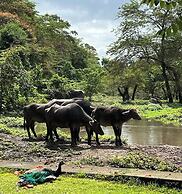 Mount Meru Game Lodge