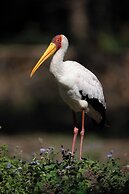Mount Meru Game Lodge