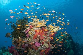 Paradise Taveuni