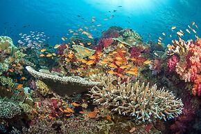 Paradise Taveuni