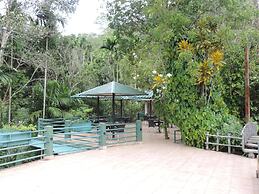 Rainforest Lodge