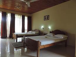 Rainforest Lodge