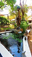 Victoria Falls Backpackers