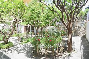Hotel Cesotta