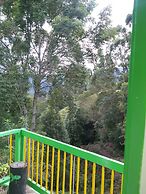 Hostal Girasoles