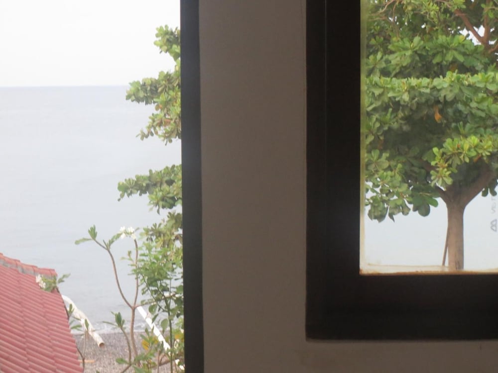 Amed Sari Beach Guesthouse