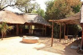 Offbeat Safaris