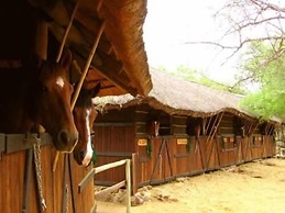 Offbeat Safaris