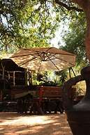 Offbeat Safaris