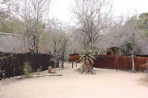 Offbeat Safaris