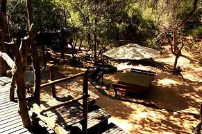 Offbeat Safaris