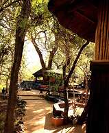 Offbeat Safaris