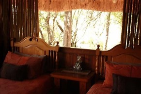 Offbeat Safaris