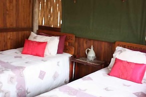 Offbeat Safaris