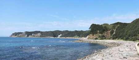 Genjiko