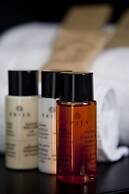 Sora Luxury Inn