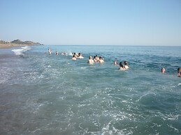 Koru Beach Club