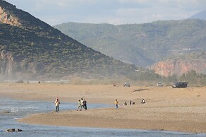 Koru Beach Club