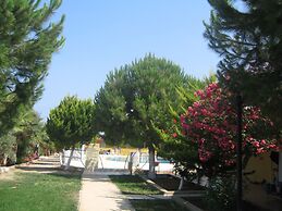 Koru Beach Club