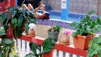 Hotel Marjenny