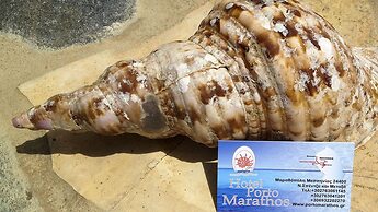 Porto Marathos