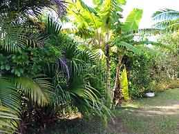 The Tropical Villa
