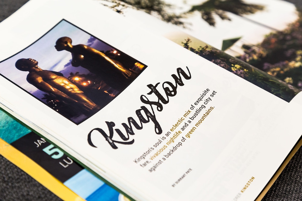 New Kingston Guest Apartment at Westbury