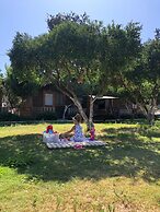Pitos Bungalows